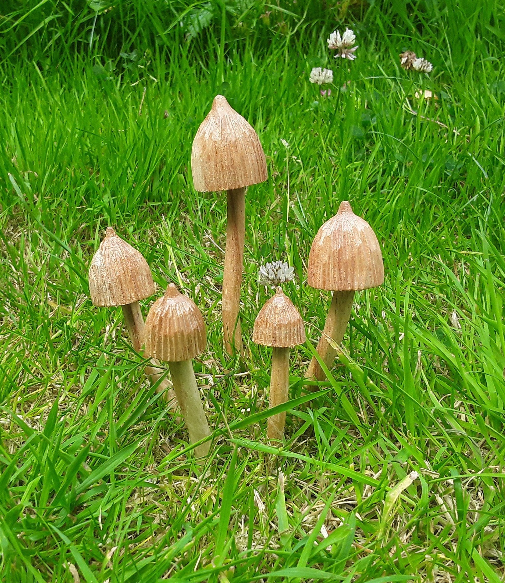Liberty Caps For Sale Only 3 Left At 65 Liberty Caps For Sale Only 3 Left At 65