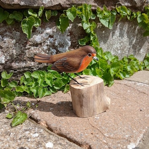 Stunningly realistic handcarved and individually painted lifesize Robin, pearched on a wooden stand that measures 12cm from beak to tail.