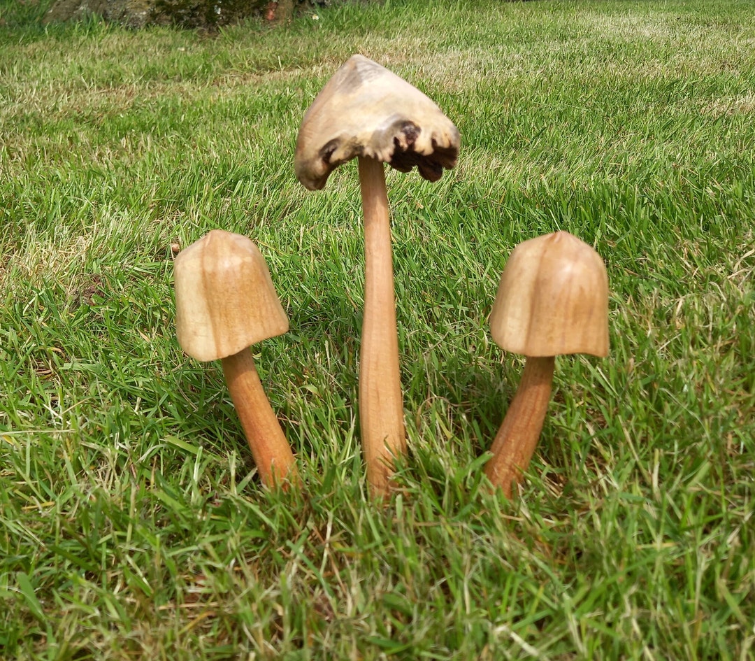 Wooden Fairy Garden Mushroom Set. - Etsy