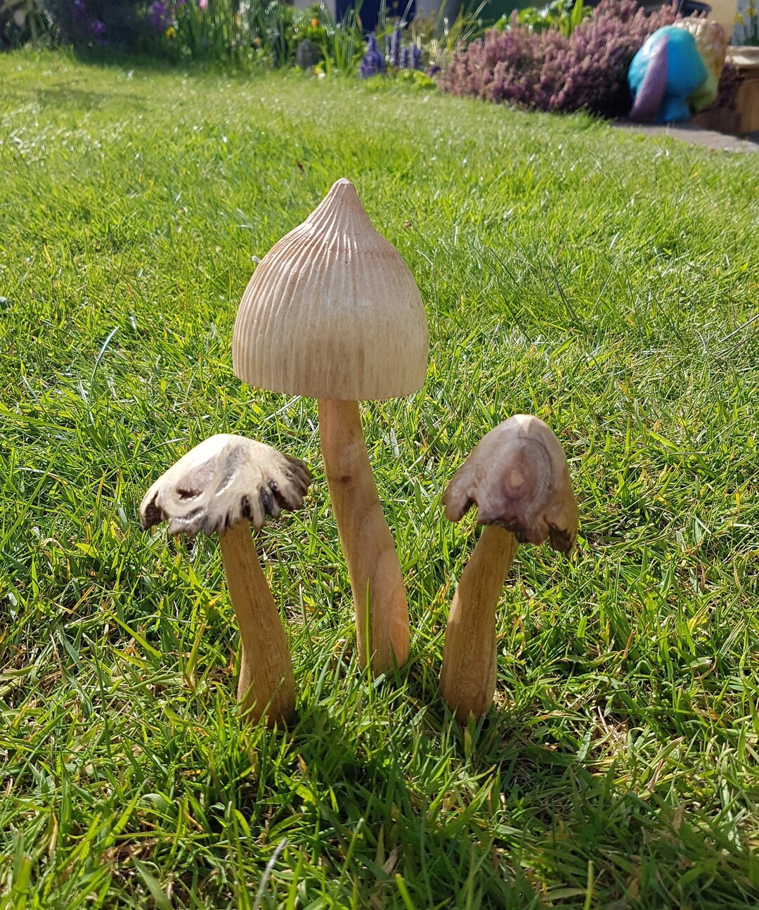Wooden Fairy Garden Mushroom Set. - Etsy