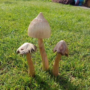 wooden fairy garden mushroom set.