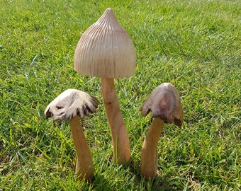 ensemble de champignons de jardin de fées en bois.