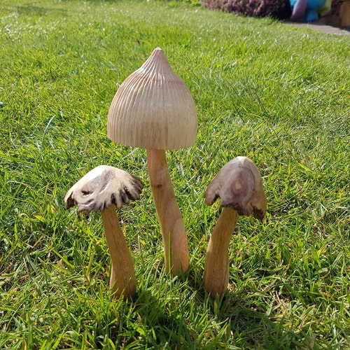 Set of 3 Natural Wooden Mushroom Garden Ornament Flat Top Etsy