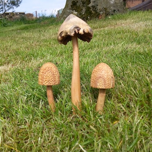 wooden fairy garden mushroom set.