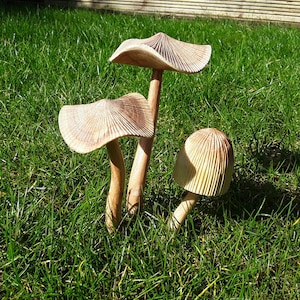 wooden fairy garden mushroom set