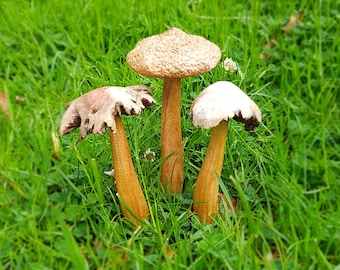 Wooden Fairy Garden Mushroom set.