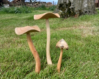 Grand ensemble de champignons de jardin féerique en bois,