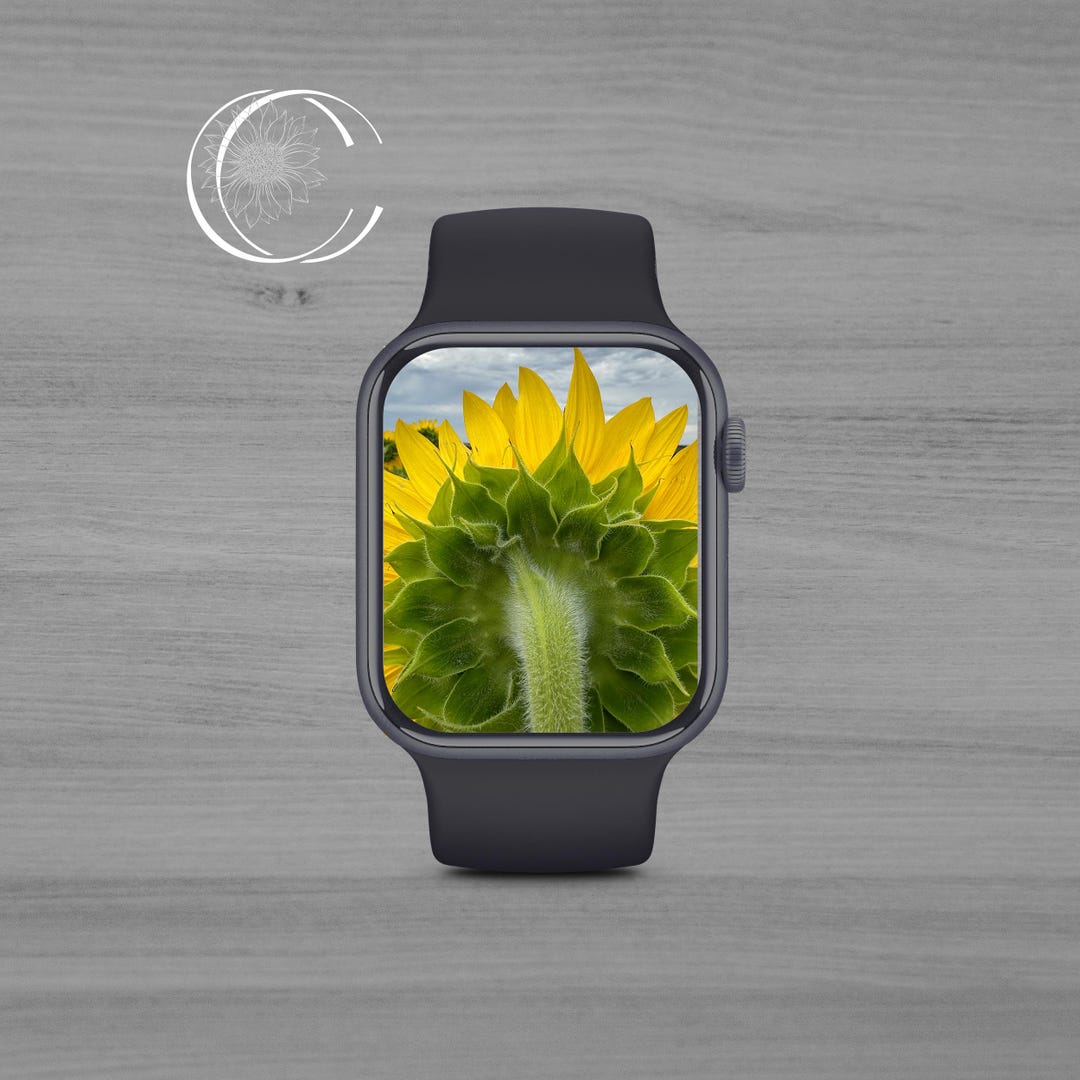 Sunflower Apple Watch Wallpaper Sunflower Watch Face Floral Apple Watch ...