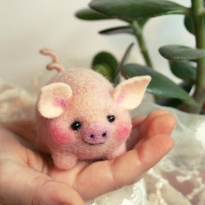piggy