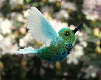 Hummingbird turquoise