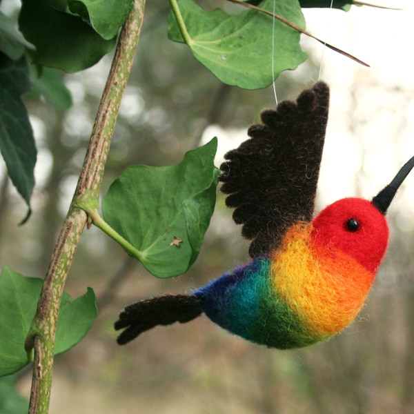 Regenbogen Kolibri