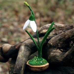 snowdrop