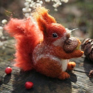 Squirrel