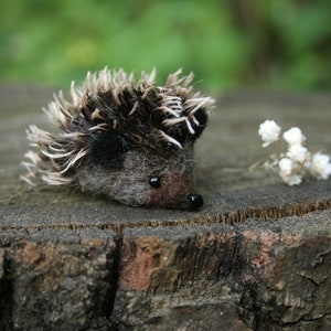 Mini hedgehog