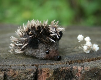 Mini hedgehogs