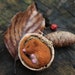 see more listings in the Felt animals and birds section