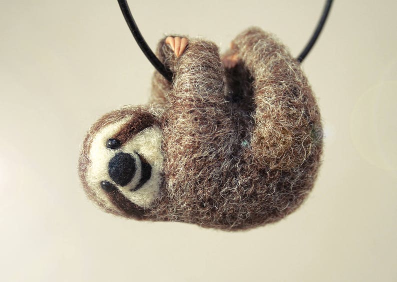 sloth image 5