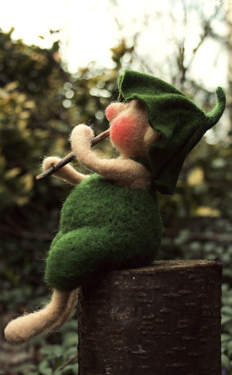 garden gnome image 10