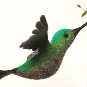 Kolibri grün