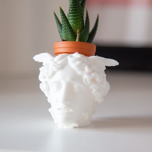 GOD HEAD PLANTER Head of Medusa 3D Printed Sculpture Cactus Flower Pot Mythology Plant Containers Gardener Gift -TheMEDUSA