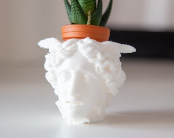Medusa Head Planter: 3D gedruckte Mythologie Skulptur, Gärtner Geschenk