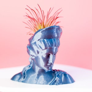 Lucilla Head Planter: Sculpture Desk Decor, Succulent Pot