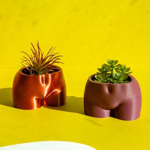 BUTT PLANTER Booty Planter Bum Pot Bum Shaped Planter Female Vase Women Planter Home Office Housewarming Gift Drainage hole TheBO