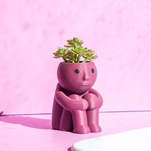 CUTE PLANTER Unique Plant Pot Guy Planter Kitchen Decor Indoor planter Succulent planter Desk Planter Desk Decor Indoor garden TheME