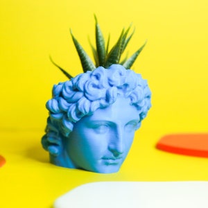 BUST HEAD PLANTER Sculpture Plant Pot Greek Statue Head Flower Pot Table Decoration Home Office New Home Gift TheALEX