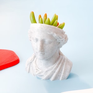 BUST HEAD PLANTER Sculpture Planter Kitchen Decor Greek Bust Planter Succulent Planter Head Plant Pot Desk Decor Indoor Garden TheAPHRODITE