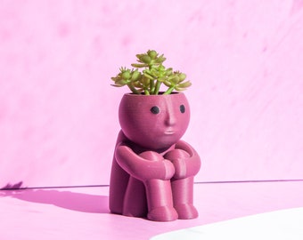 CUTE PLANTER Unique Plant Pot Guy Planter Kitchen Decor Indoor planter Succulent planter Desk Planter Desk Decor Indoor garden TheME