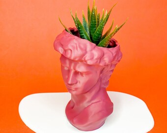 David Head Planter: 3D Printed PLA Succulent Pot