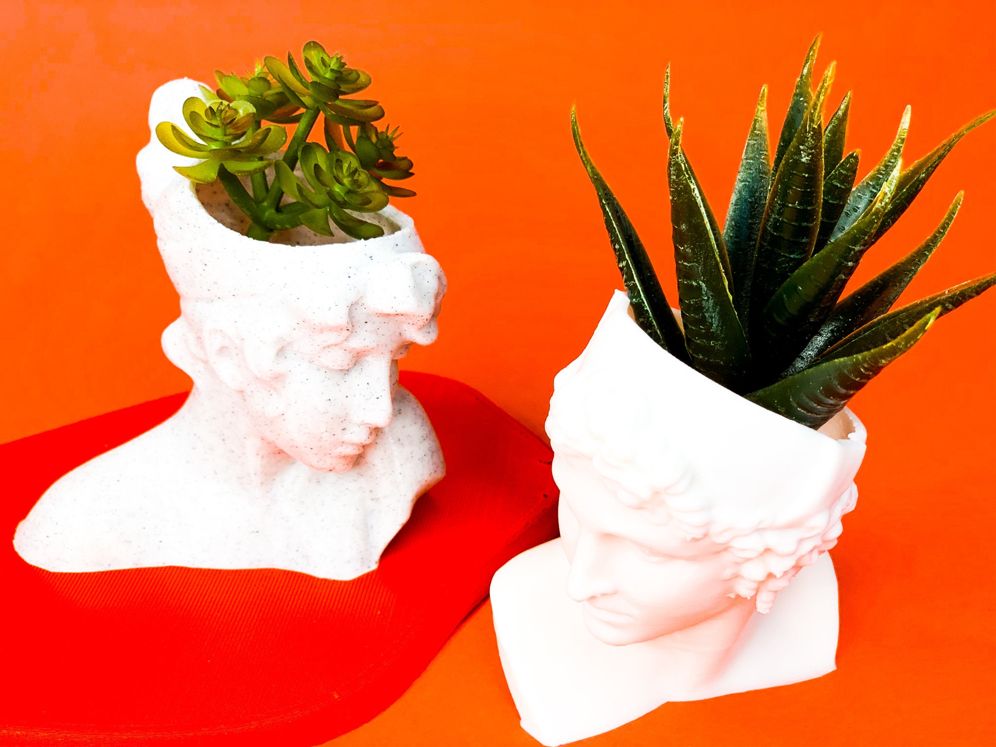 Bust Head Planter Set of 2 Planter Bundle Set head Etsy UK