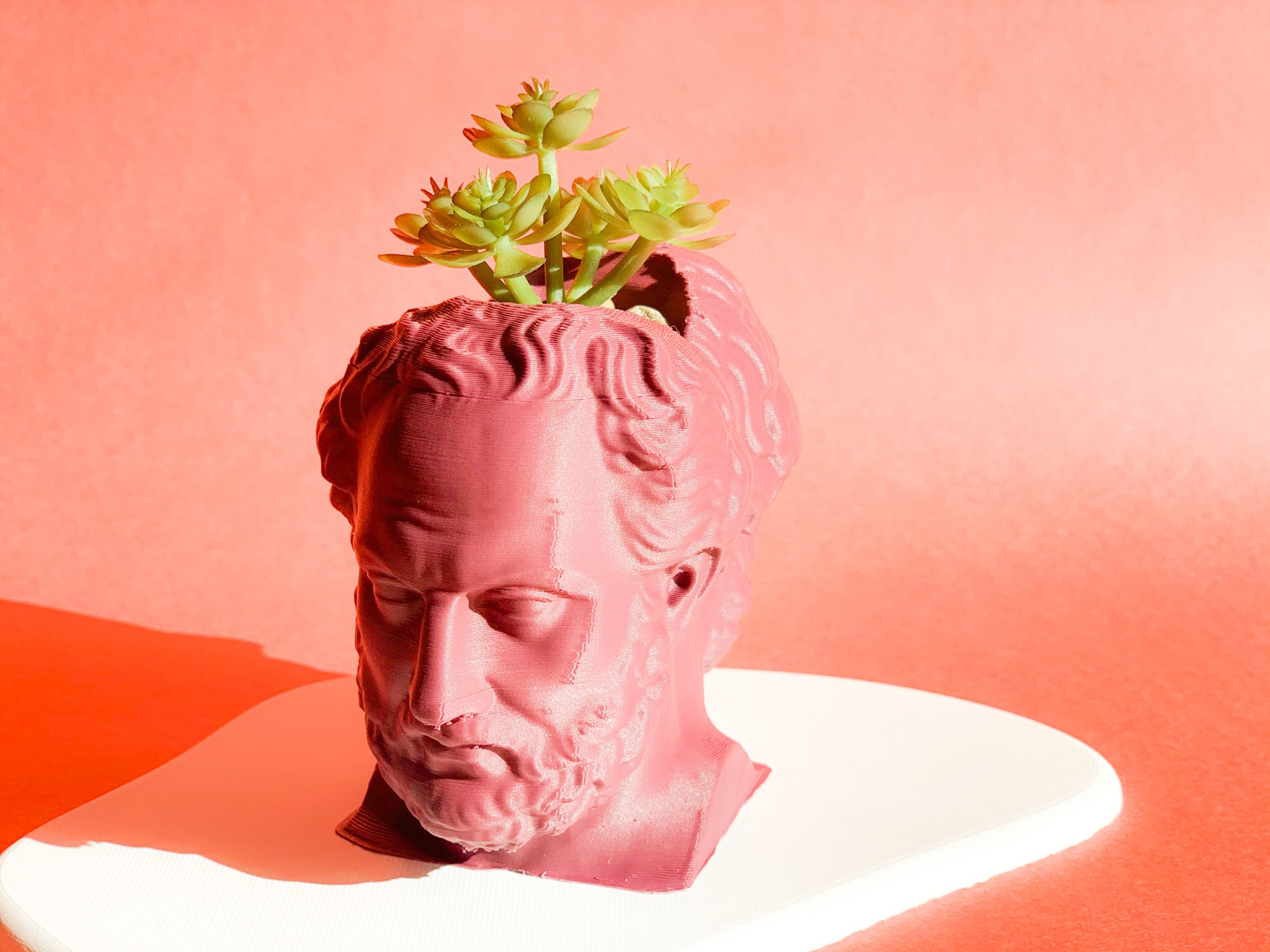 Double Head Planter bust Head Plantersculpture Plantergreek Etsy UK