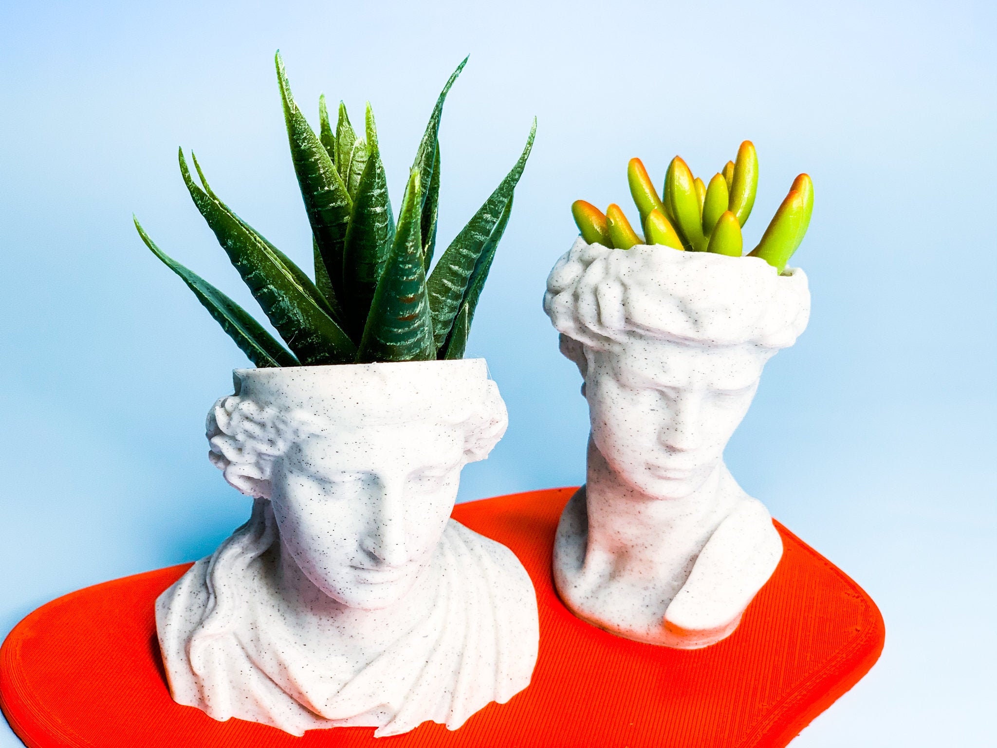 Bust Head Planter Set of 2 Planter Bundle Set head Etsy