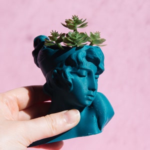 May include: A teal blue bust planter with a sculpted face and a small succulent plant growing out of the top.