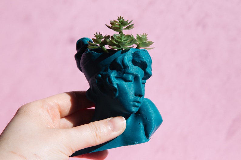 May include: A teal blue bust planter with a sculpted face and a small succulent plant growing out of the top.