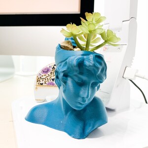 May include: A blue ceramic bust planter with a succulent plant growing out of the top. The bust is of a woman with a long, flowing hairstyle.