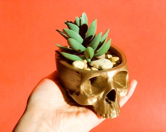 3D Printed Skull Planter: Gothic Home Decor, Succulent Pot