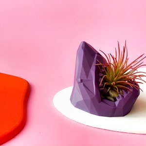 Shark Head PLA Planter: Low Poly Succulent Pot, Phone Stand