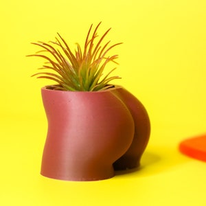 Butt Planter: 3D Gedruckter Pflanzenbasierter Kunststoff-Topf Bild 9