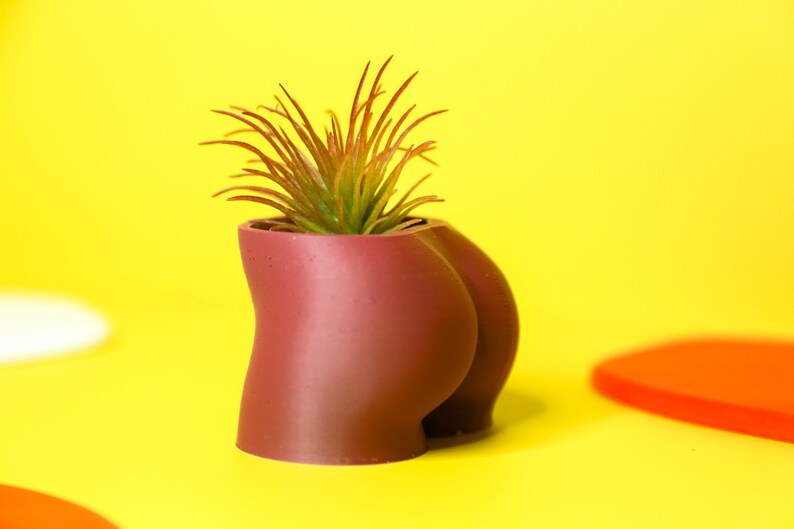 Butt Planter: 3D Gedruckter Pflanzenbasierter Kunststoff-Topf Bild 9