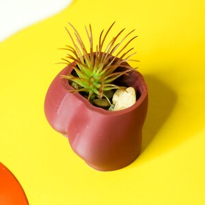 Butt Planter: 3D Gedruckter Pflanzenbasierter Kunststoff-Topf Bild 10