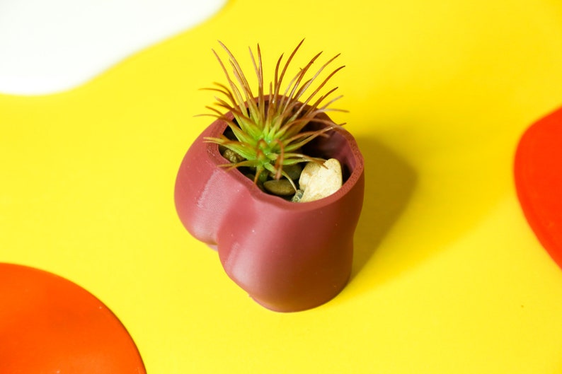 Butt Planter: 3D Gedruckter Pflanzenbasierter Kunststoff-Topf Bild 10