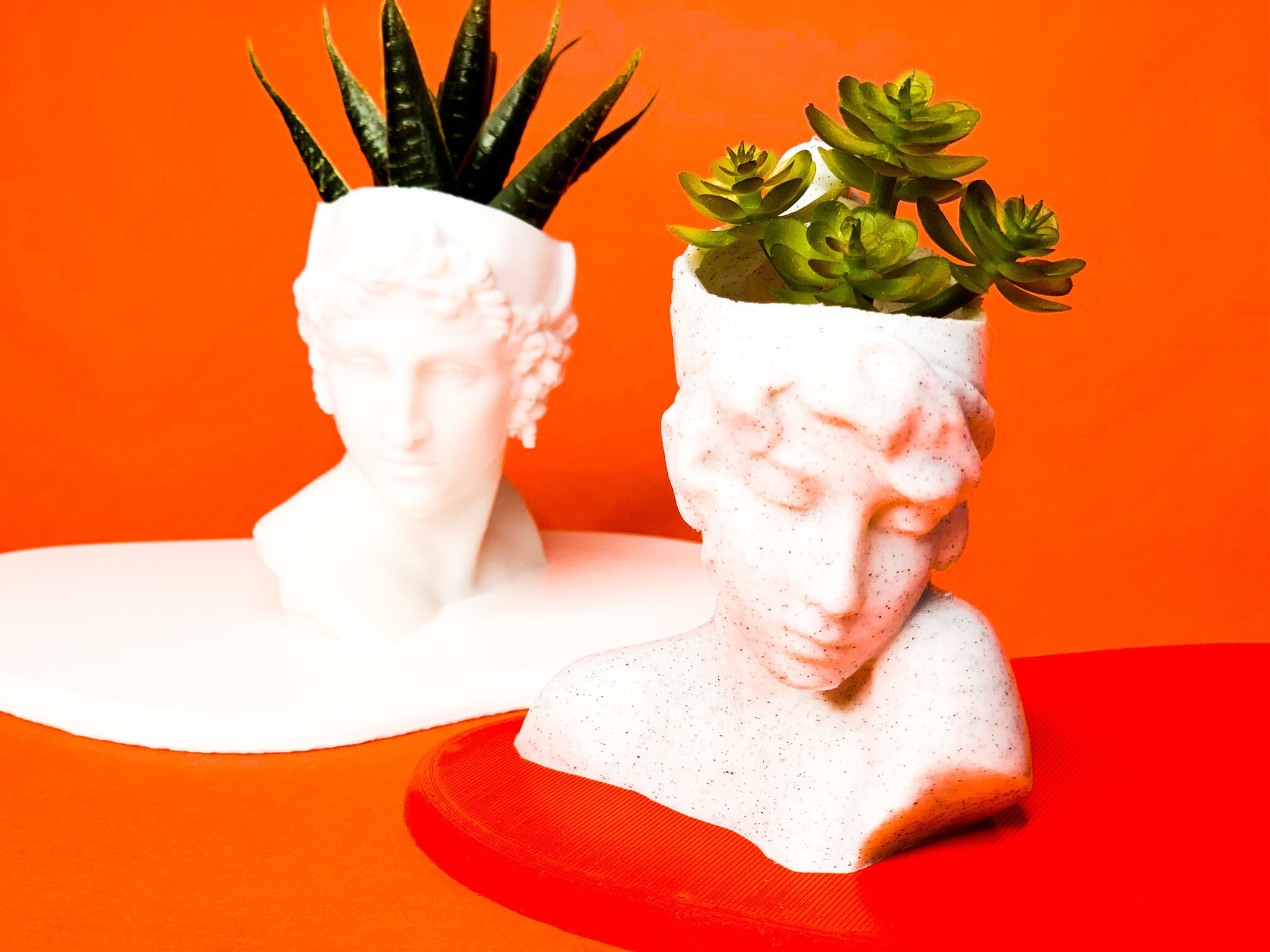 Bust Head Planter Set of 2 Planter Bundle Set head Etsy UK