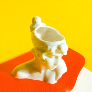 May include: A white ceramic bust of a woman with a planter on top of her head. The bust is sitting on a bright orange surface.