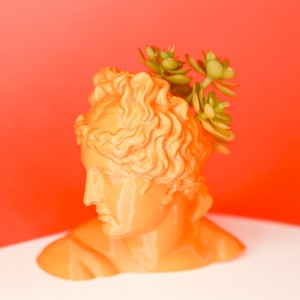 VENUS BUST Venus Head Planter Bust Head Plant Pot Indoor Planter Succulent Planter Home Decor Desk Planter Desk Decor Indoor garden TheVENUS
