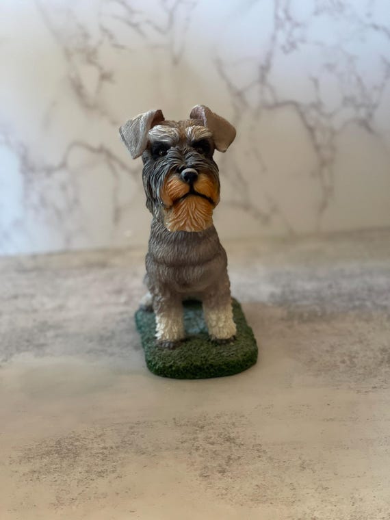Miniature Schnauzer Large Scottie Dog Miniature Schnauzer Mix
