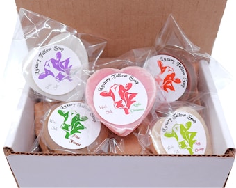 Tallow Soap with Silk: Guest Size Sampler Box Gift Giving Handmade