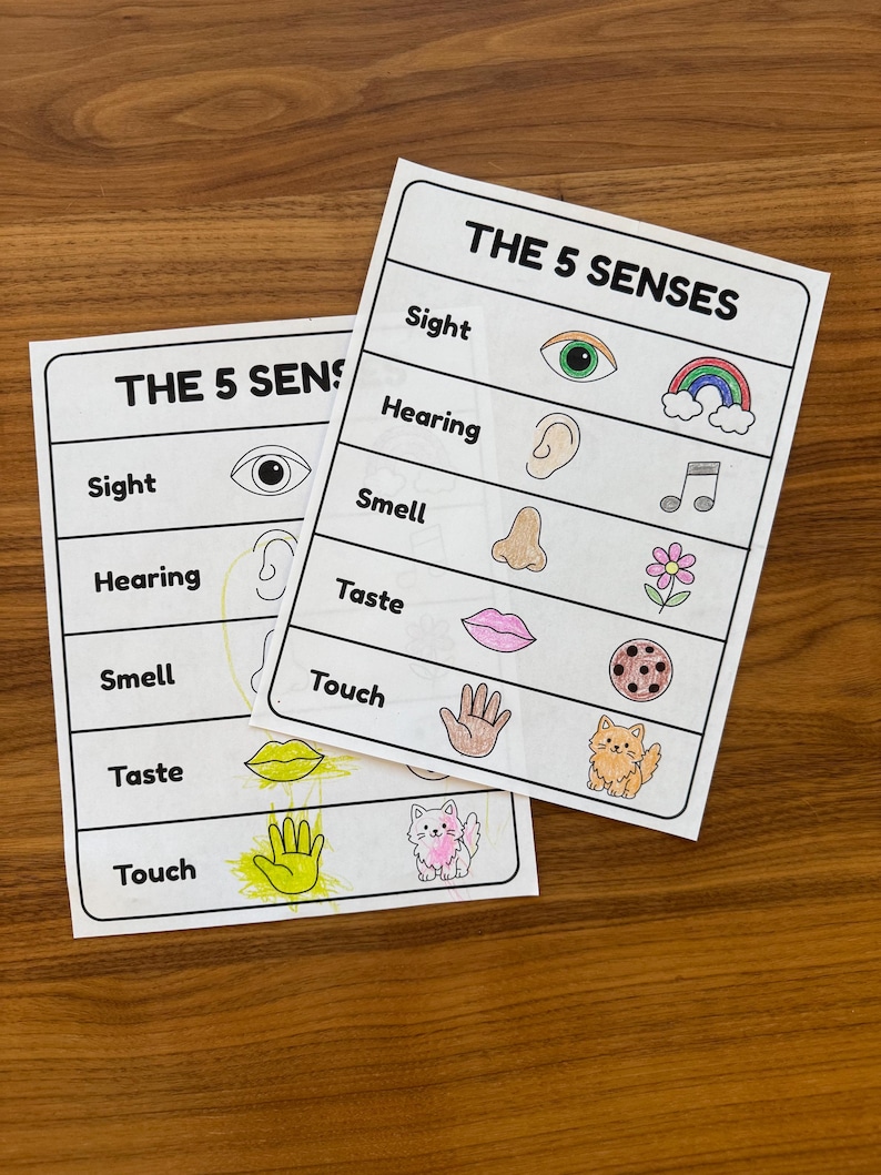 The 5 Senses Worksheet Preschool Coloring Activity Printable